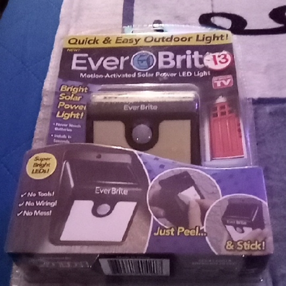 EverBrite Motion-Activated Solar LED Outdoor Light - Black/White